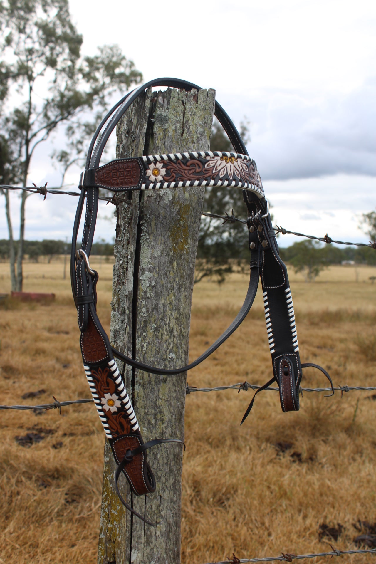 Bridle-Frosted Canyon