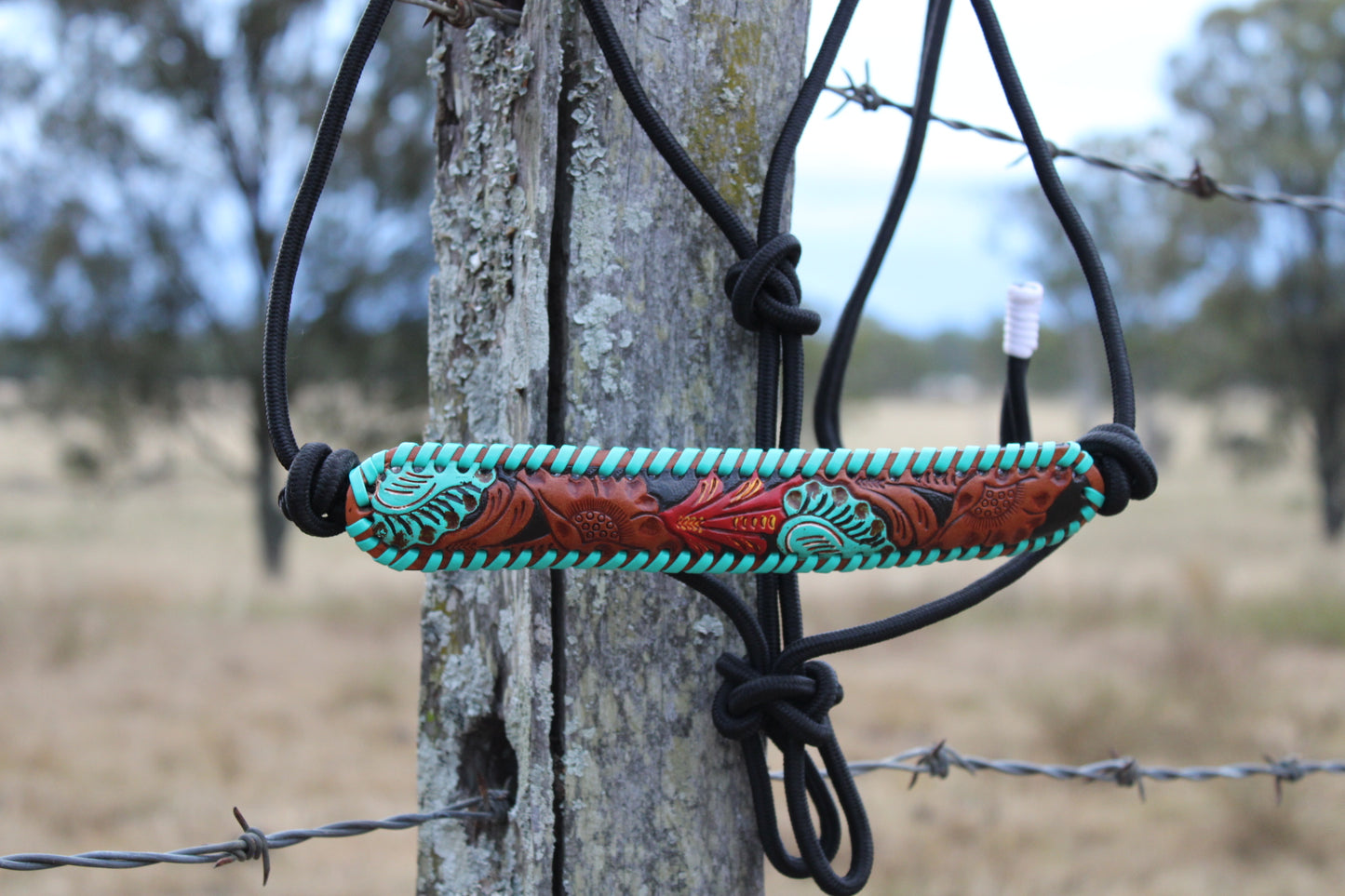 Halter- Cactus Ridge