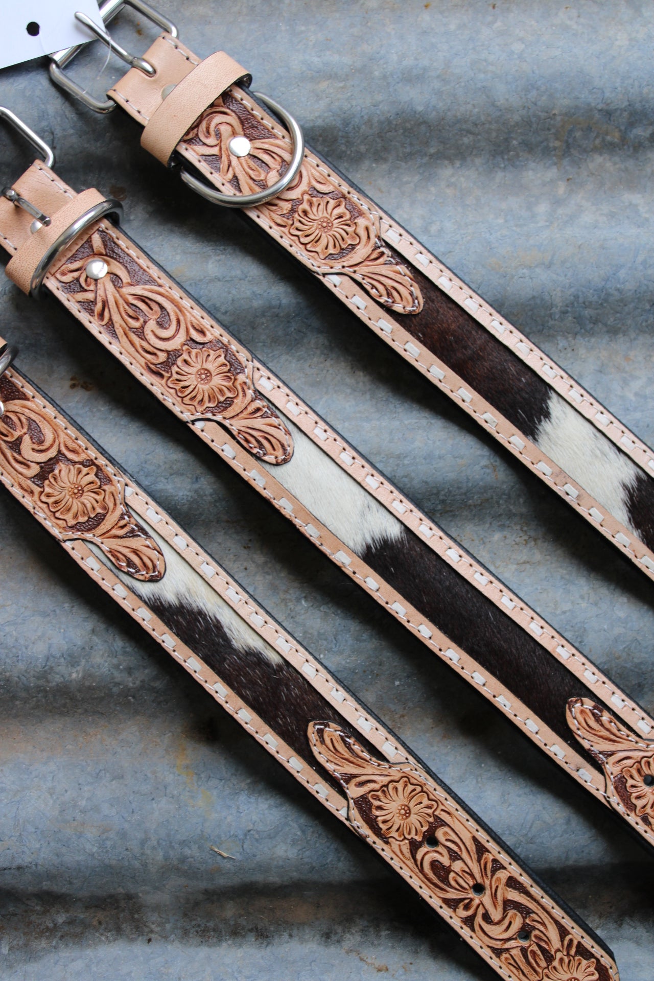 Rodeo Paws Dog Collar