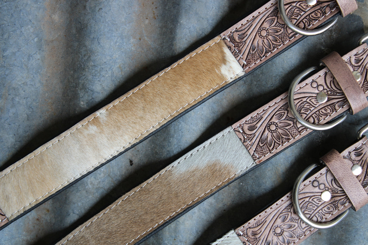 Cowboy Canine Dog Collar