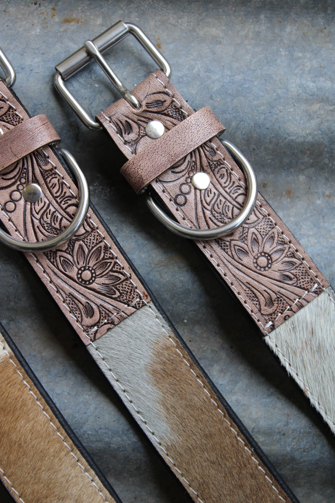 Cowboy Canine Dog Collar