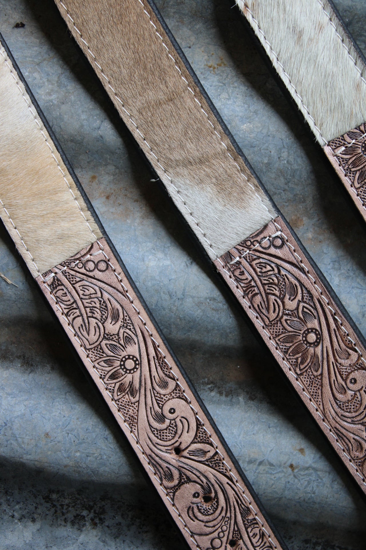 Cowboy Canine Dog Collar
