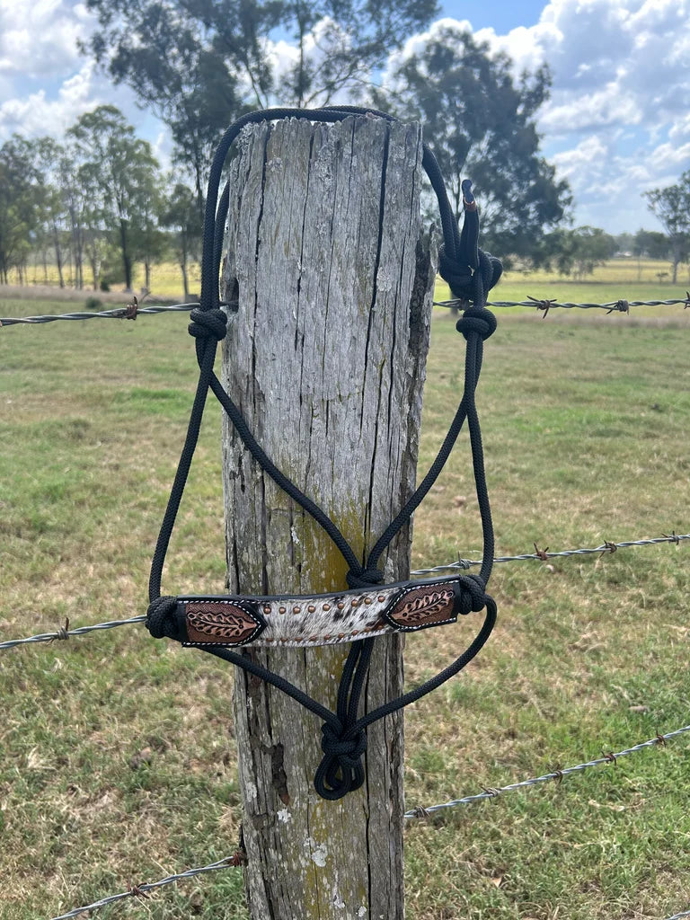 Halter- Leather & Lasso