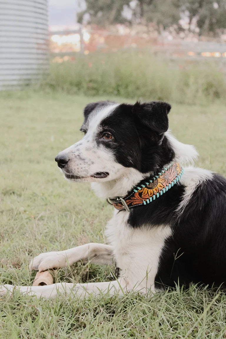 Wildflower Ridge Dog Collar