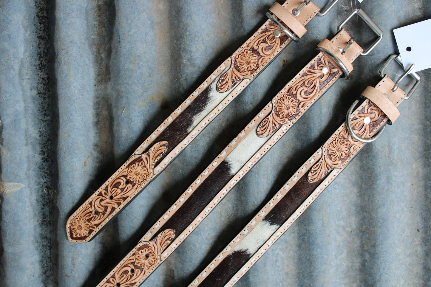 Rodeo Paws Dog Collar