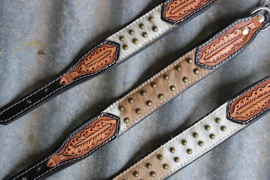 Leather & Lasso Dog Collar