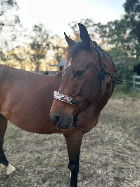 Halter- Leather & Lasso