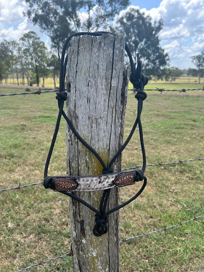Halter- Leather & Lasso
