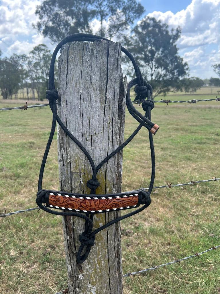Lasso Rope Halter Halter-Lasso Springs – Down Under Dust